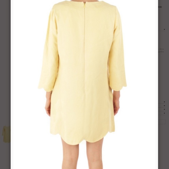 Chloe scallop dress with pockets. - Picture 4 of 5